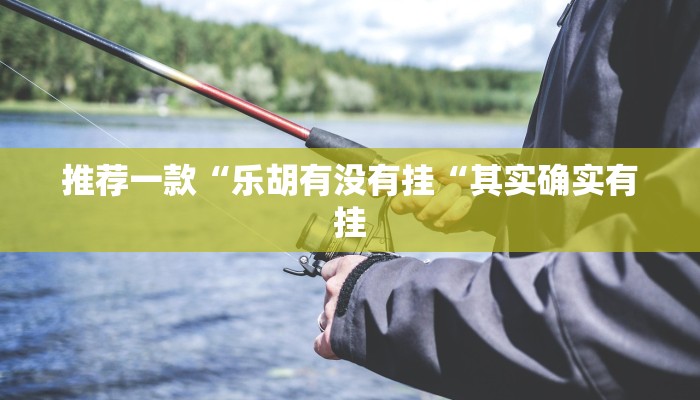 推荐一款“乐胡有没有挂“其实确实有挂