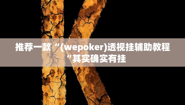 推荐一款“(wepoker)透视挂辅助教程“其实确实有挂