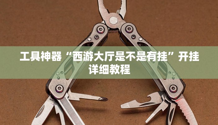 工具神器“西游大厅是不是有挂”开挂详细教程