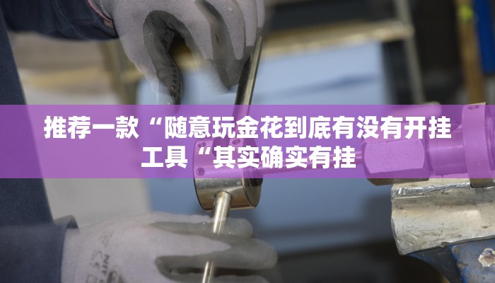 推荐一款“随意玩金花到底有没有开挂工具“其实确实有挂