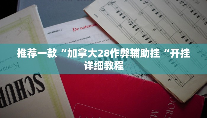 推荐一款“加拿大28作弊辅助挂“开挂详细教程