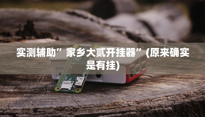 实测辅助”家乡大贰开挂器”(原来确实是有挂)