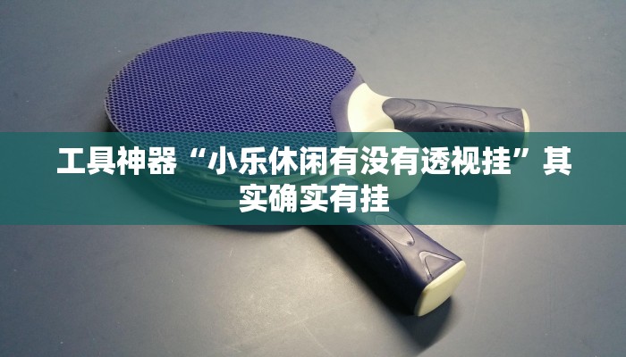 工具神器“小乐休闲有没有透视挂”其实确实有挂
