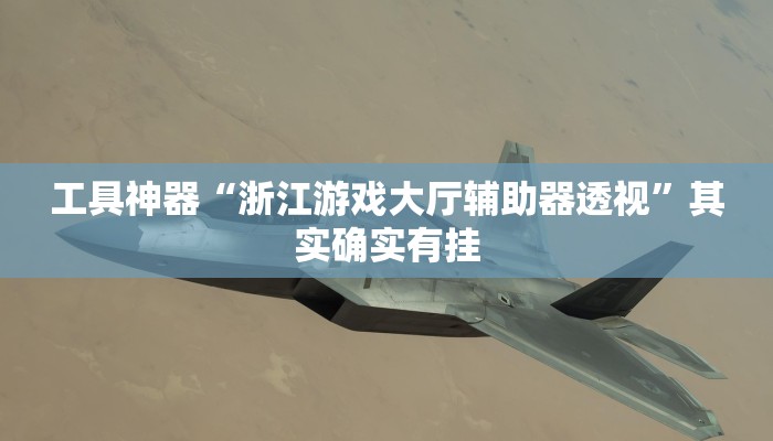 工具神器“浙江游戏大厅辅助器透视”其实确实有挂