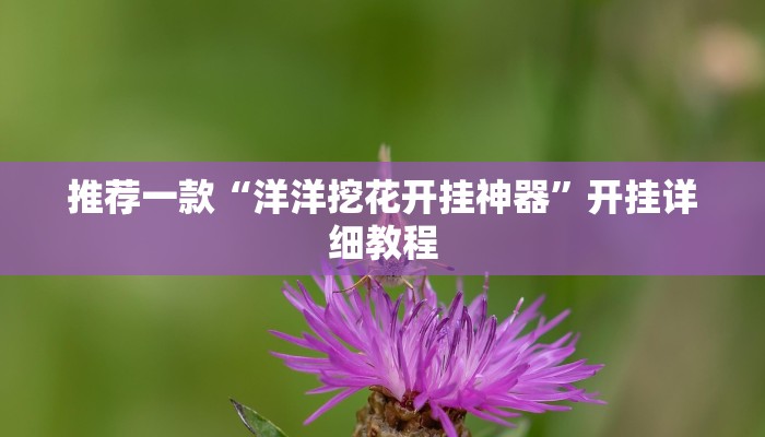 推荐一款“洋洋挖花开挂神器”开挂详细教程