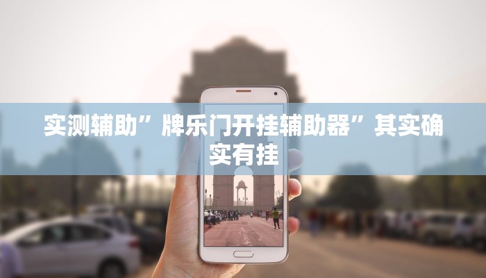 实测辅助”牌乐门开挂辅助器”其实确实有挂