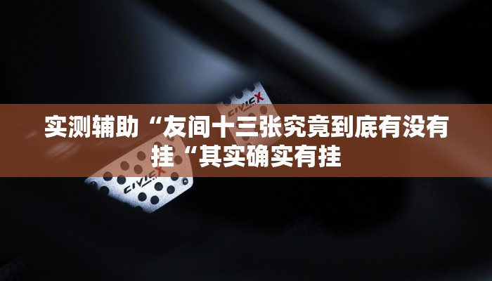 实测辅助“友间十三张究竟到底有没有挂“其实确实有挂
