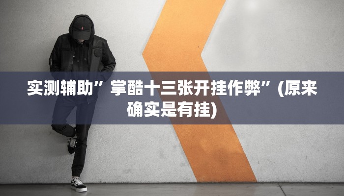 实测辅助”掌酷十三张开挂作弊”(原来确实是有挂)