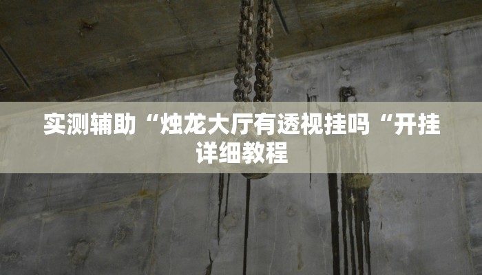 实测辅助“烛龙大厅有透视挂吗“开挂详细教程