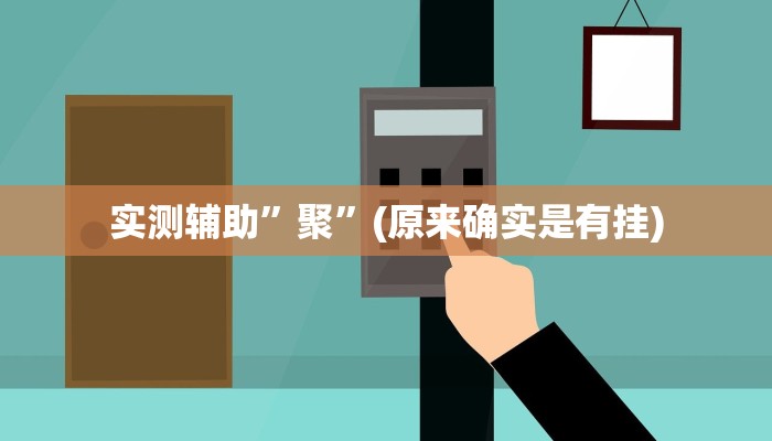 实测辅助”聚”(原来确实是有挂)