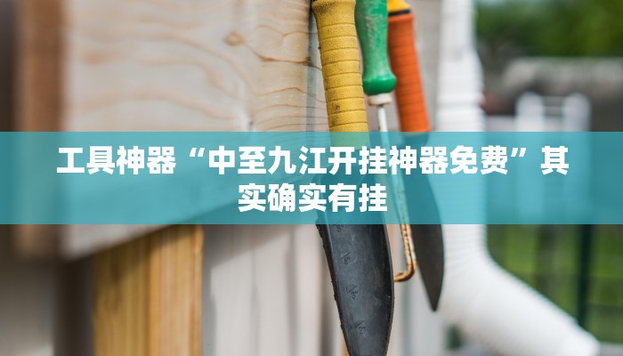 工具神器“中至九江开挂神器免费”其实确实有挂