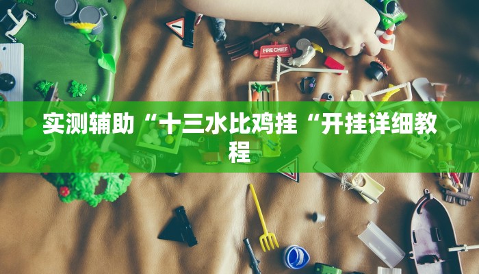 实测辅助“十三水比鸡挂“开挂详细教程