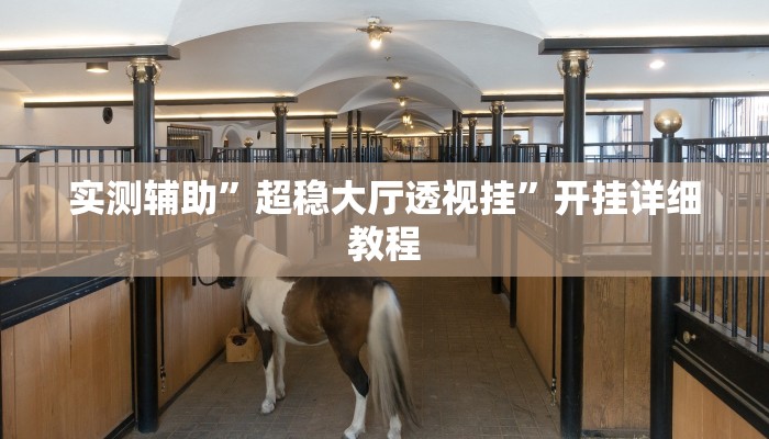 实测辅助”超稳大厅透视挂”开挂详细教程