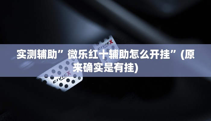实测辅助”微乐红十辅助怎么开挂”(原来确实是有挂)