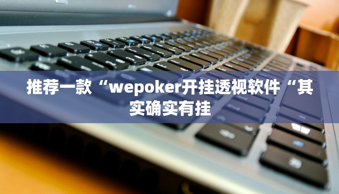 推荐一款“wepoker开挂透视软件“其实确实有挂