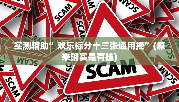 实测辅助”欢乐标分十三张通用挂”(原来确实是有挂)
