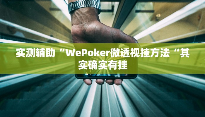 实测辅助“WePoker微透视挂方法“其实确实有挂
