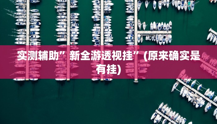 实测辅助”新全游透视挂”(原来确实是有挂)