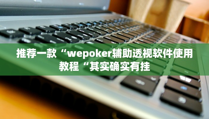 推荐一款“wepoker辅助透视软件使用教程“其实确实有挂