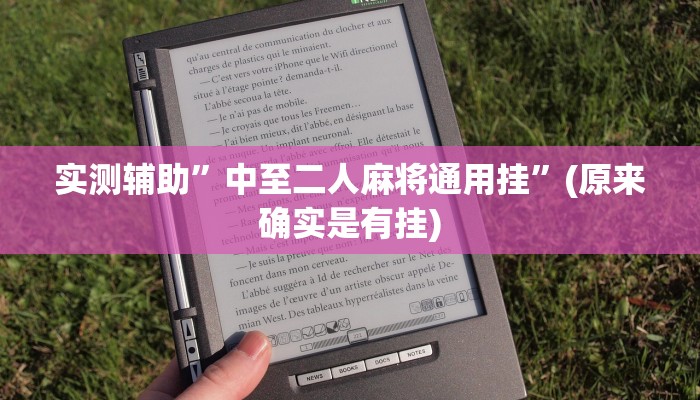 实测辅助”中至二人麻将通用挂”(原来确实是有挂)