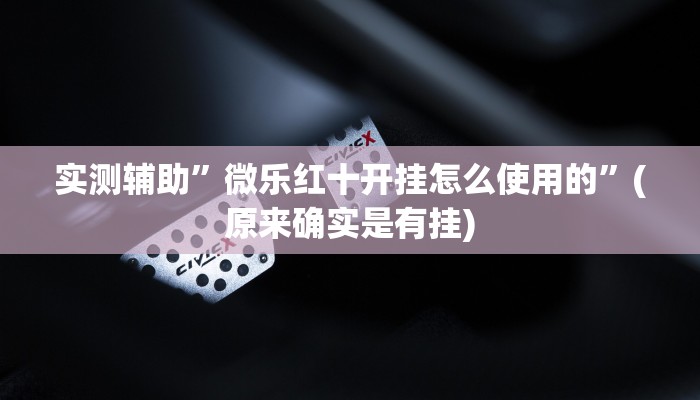 实测辅助”智星德州菠萝通用挂”(原来确实是有挂)