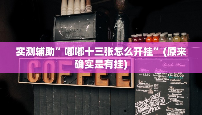 实测辅助”嘟嘟十三张怎么开挂”(原来确实是有挂)