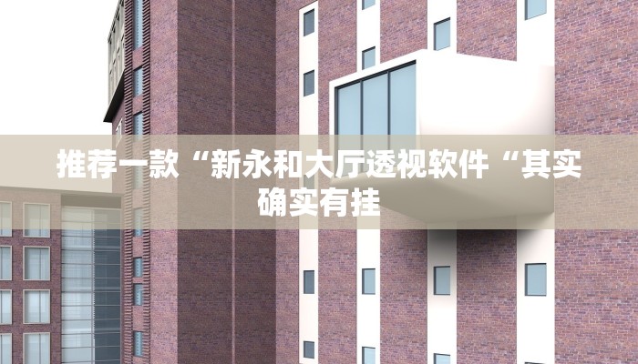 推荐一款“新永和大厅透视软件“其实确实有挂