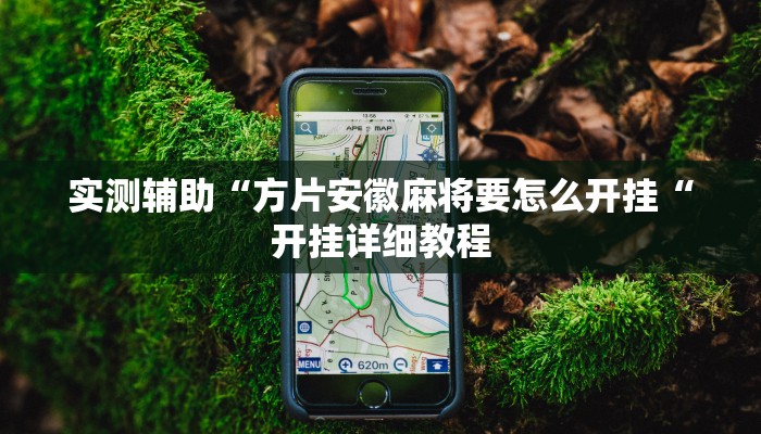 实测辅助“方片安徽麻将要怎么开挂“开挂详细教程