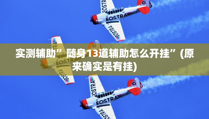 实测辅助”随身13道辅助怎么开挂”(原来确实是有挂)