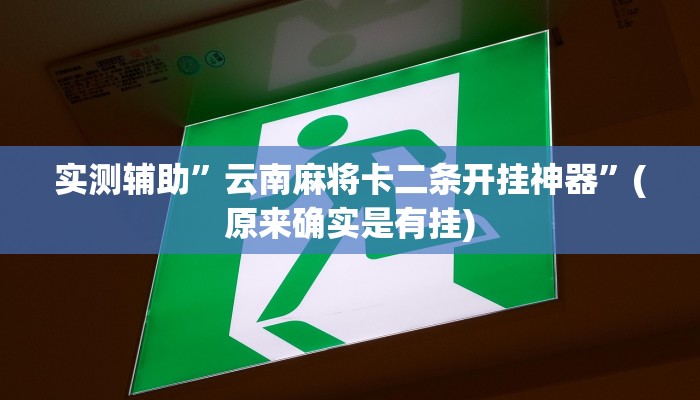 实测辅助”云南麻将卡二条开挂神器”(原来确实是有挂)