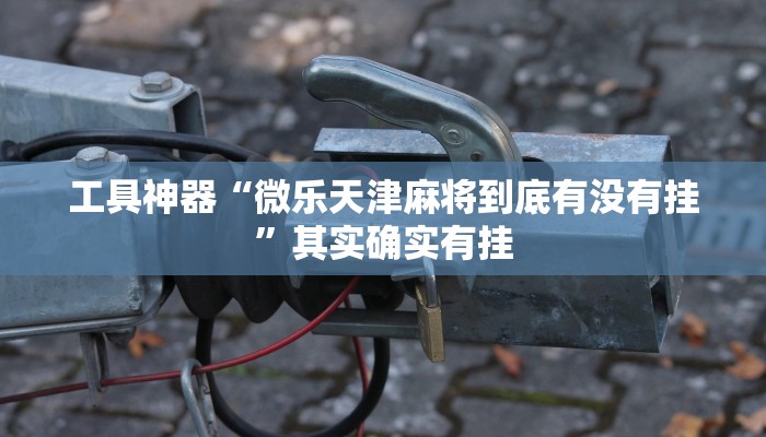 工具神器“微乐天津麻将到底有没有挂”其实确实有挂
