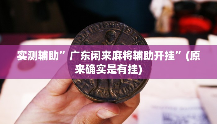 实测辅助”广东闲来麻将辅助开挂”(原来确实是有挂)