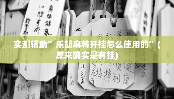 实测辅助”乐胡麻将开挂怎么使用的”(原来确实是有挂)