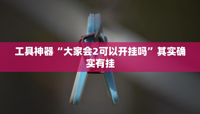 实测辅助”玖天乐游十三水怎么开挂”(原来确实是有挂)