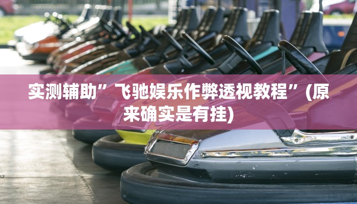 实测辅助”飞驰娱乐作弊透视教程”(原来确实是有挂)