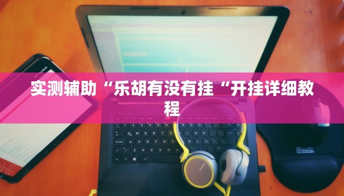 实测辅助“乐胡有没有挂“开挂详细教程