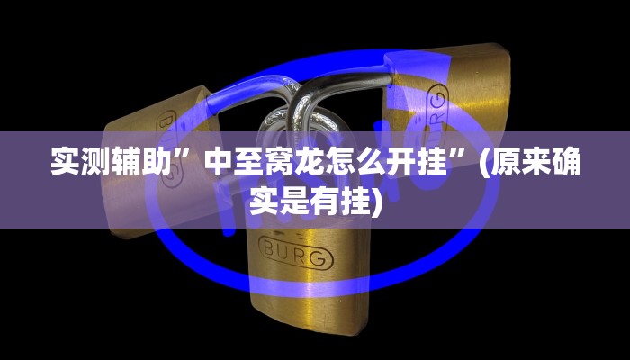 实测辅助”中至窝龙怎么开挂”(原来确实是有挂)