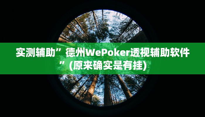 实测辅助”德州WePoker透视辅助软件”(原来确实是有挂)