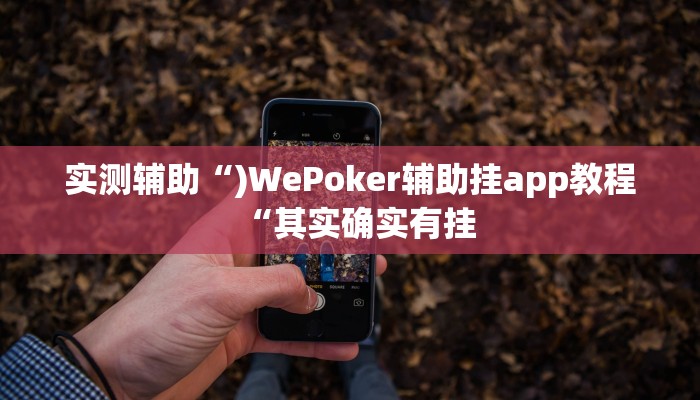 实测辅助“)WePoker辅助挂app教程“其实确实有挂