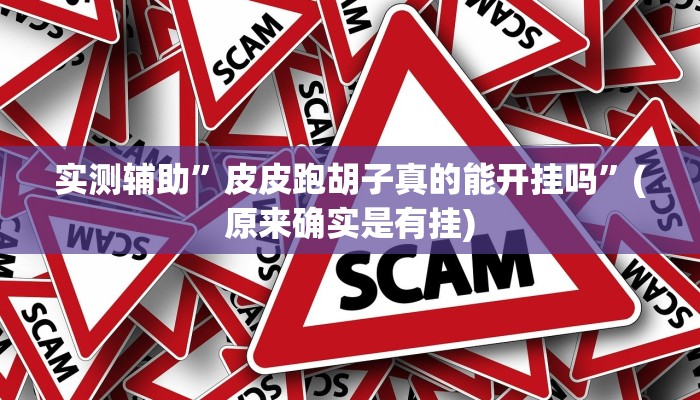 实测辅助”皮皮跑胡子真的能开挂吗”(原来确实是有挂)