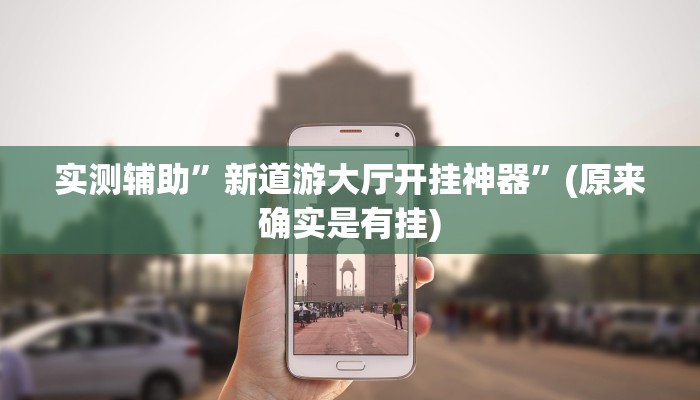 实测辅助”新道游大厅开挂神器”(原来确实是有挂)