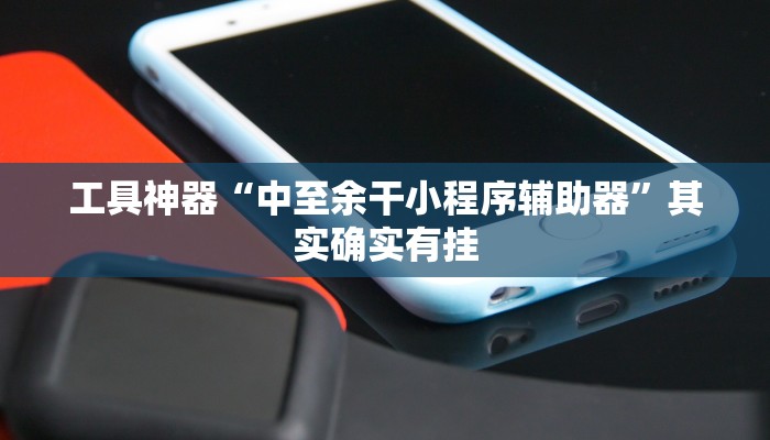 工具神器“中至余干小程序辅助器”其实确实有挂