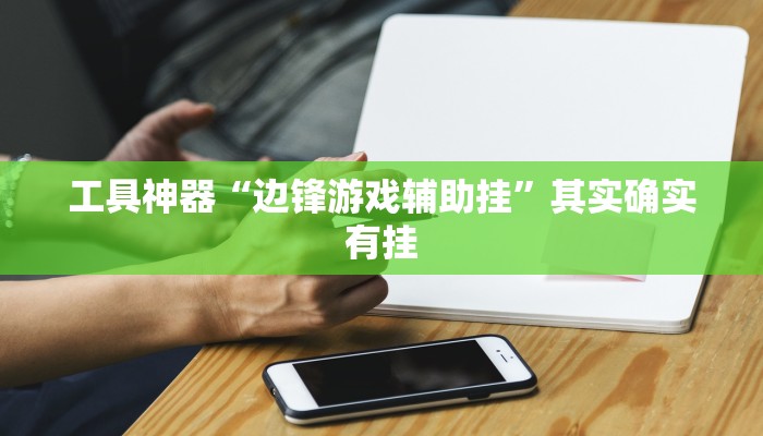 工具神器“边锋游戏辅助挂”其实确实有挂