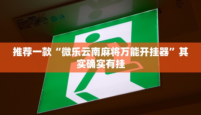 推荐一款“微乐云南麻将万能开挂器”其实确实有挂