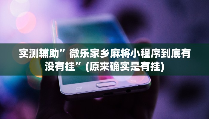 实测辅助”微乐家乡麻将小程序到底有没有挂”(原来确实是有挂)