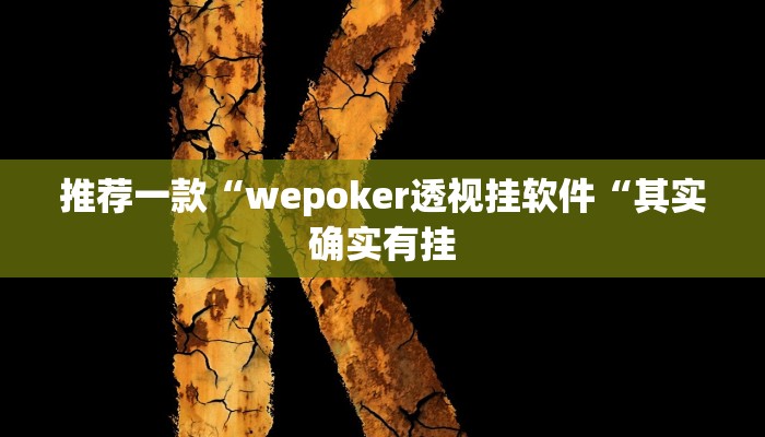 推荐一款“wepoker透视挂软件“其实确实有挂