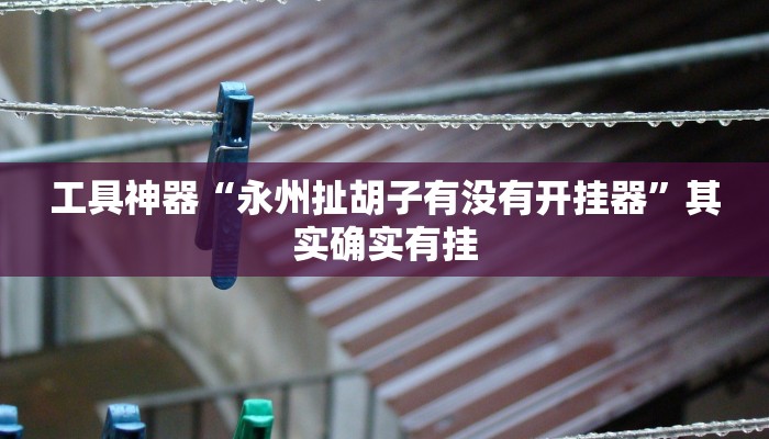 工具神器“永州扯胡子有没有开挂器”其实确实有挂