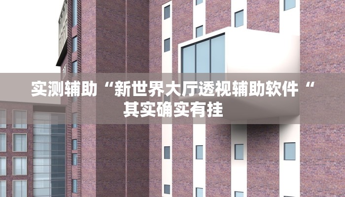 实测辅助“新世界大厅透视辅助软件“其实确实有挂