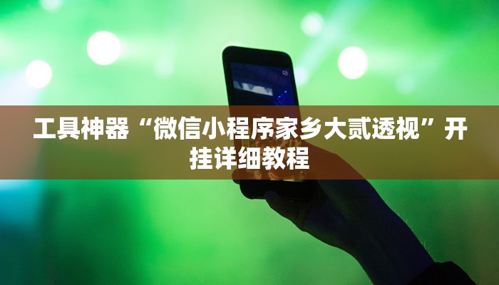 工具神器“微信小程序家乡大贰透视”开挂详细教程