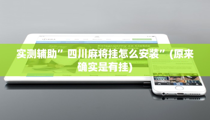 实测辅助”四川麻将挂怎么安装”(原来确实是有挂)